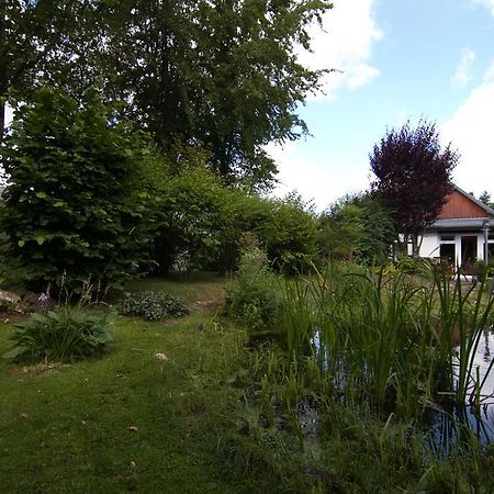 Ferienhaus Wildblick Schleiden Exterior foto